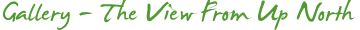 wp99e3138b.gif