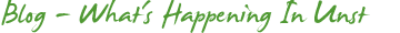 blog.gif