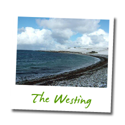 The Westing