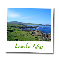 Lamba Ness