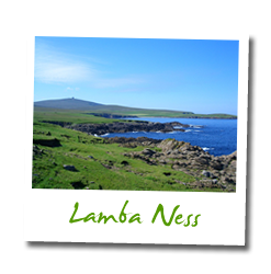 Lamba Ness