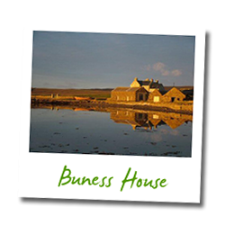 Buness House